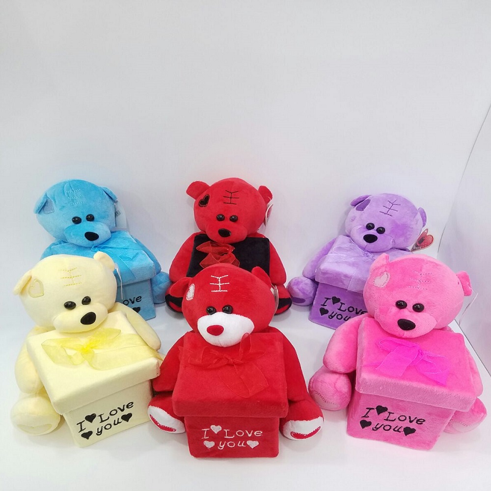 Toptan Büyük Boy Renkli Kutulu Ayıcık