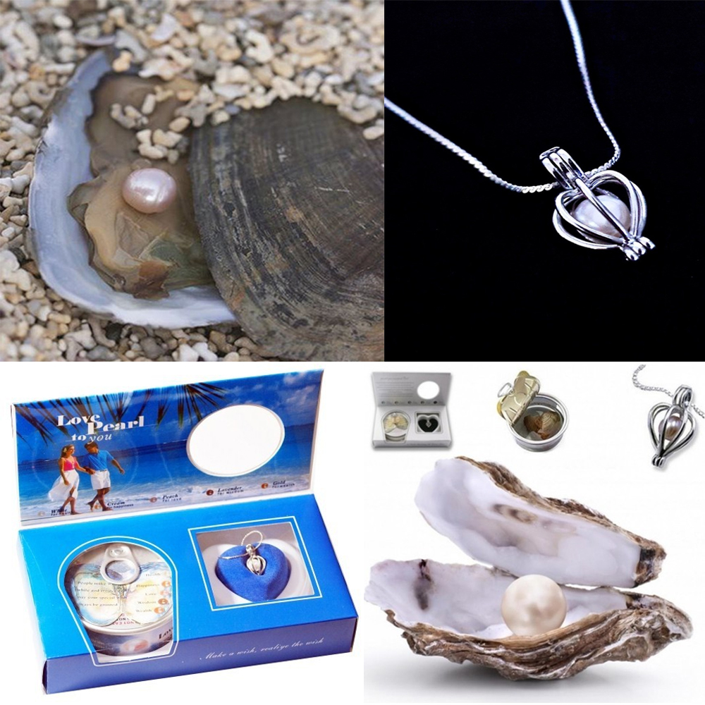 Toptan İstiridye İçinde İnci Kolye Seti