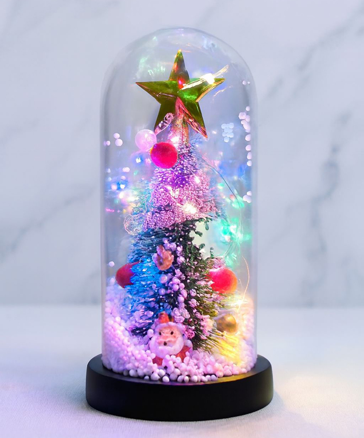 Yılbaşı Temalı Işıklı  Dekoratif Cam Fanus Alk5082